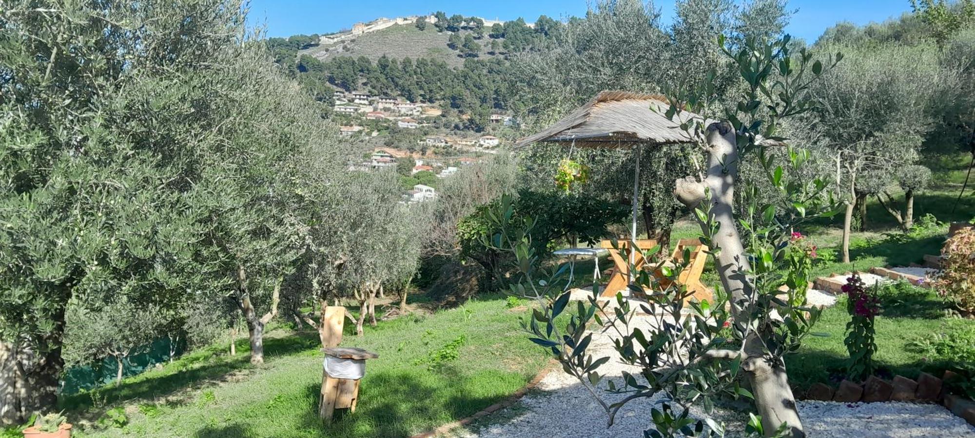 Bujtina Musta Guest House Berat Room photo